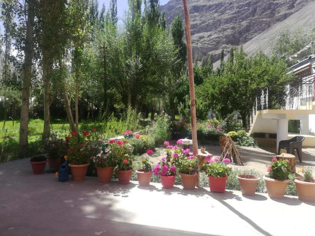 Sernang Homestay Hundar Exterior foto